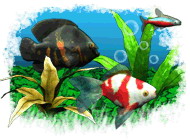 Free Game Download FishCo