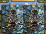 World Riddles: Animals